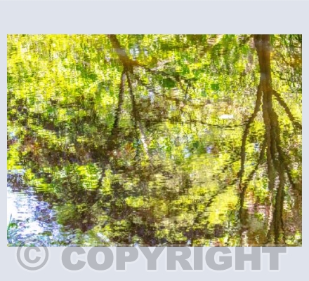 Reflections