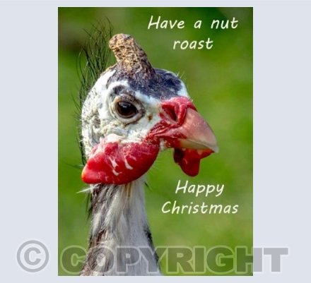 Nut roast