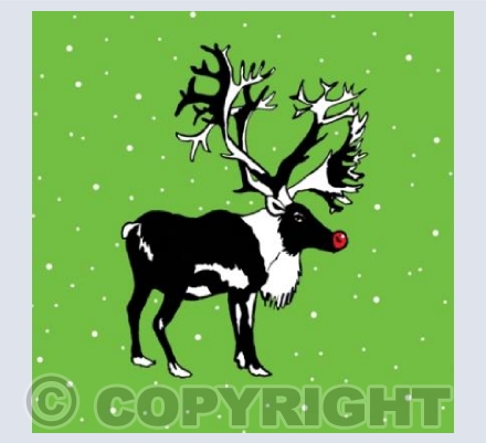 "Rudolph"