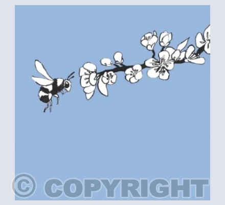 Bee & Blossom
