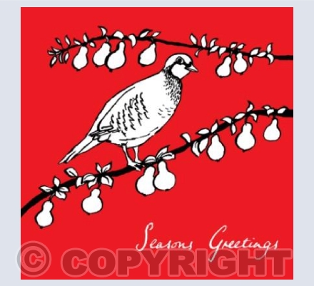 A Partridge in a Pear Tree