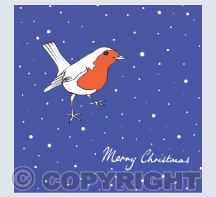 Robin Red Breast