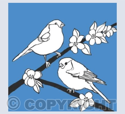 Bullfinches