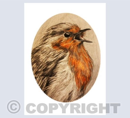 Robin's Song