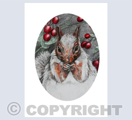 'Winter Squirrel'