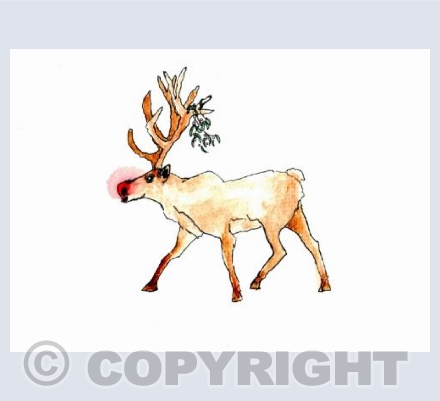 'Rudolph'