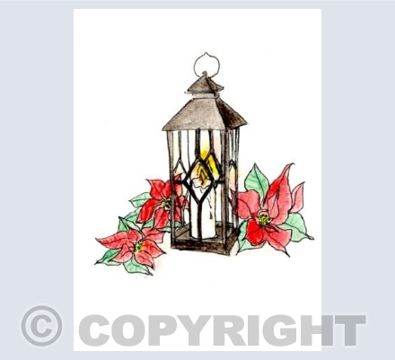 'Poinsettia'