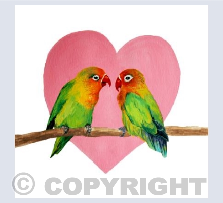 Love Birds