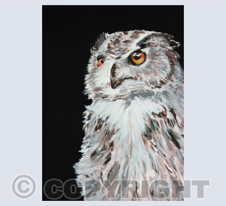 Owl Painting