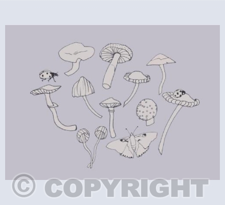 Mushrooms