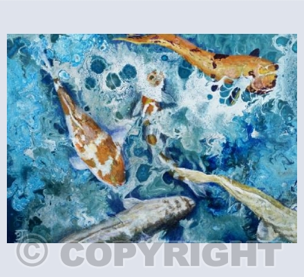 Koi