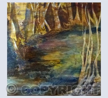 Woodland Stream
