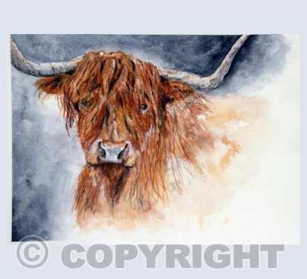 Card Highland Cow