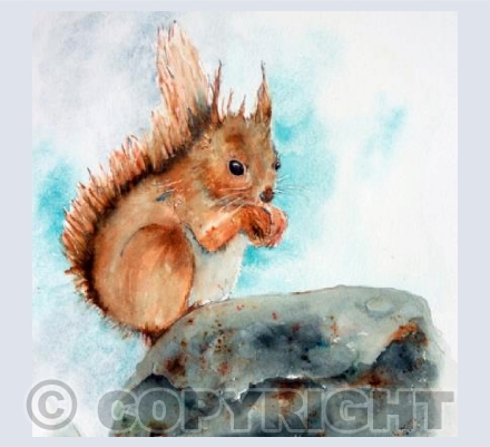 Card Squidge