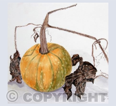 Card Squash