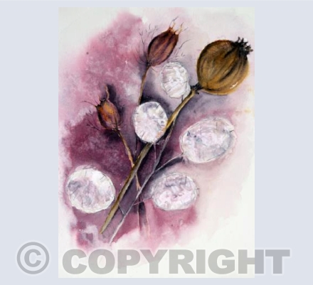 Card Seedheads