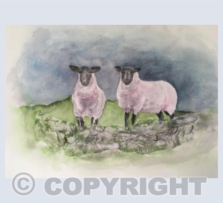 Watching me watching you!