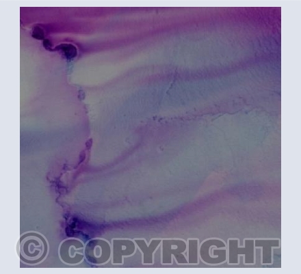 Silk1