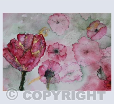 Poppies
