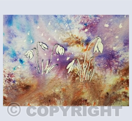 Snowdrops in Brusho
