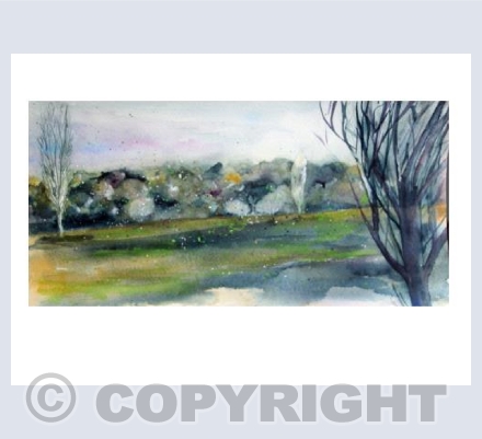 Crown Meadows