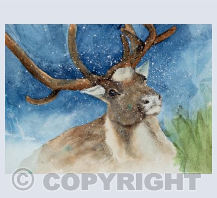 Blitzen