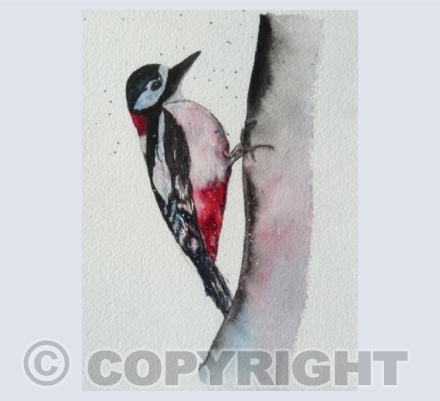 Card Woodpecker