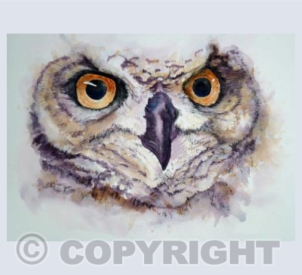 The eyes have it!