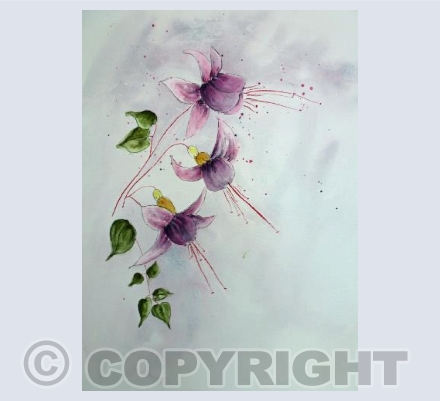 Fuchsia