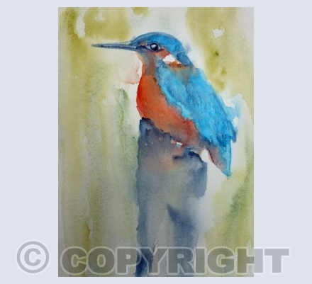 Kingfisher