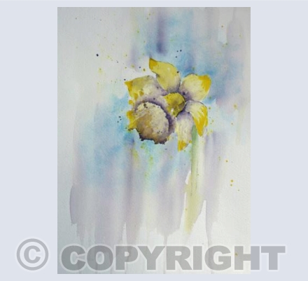 DAFFODIL