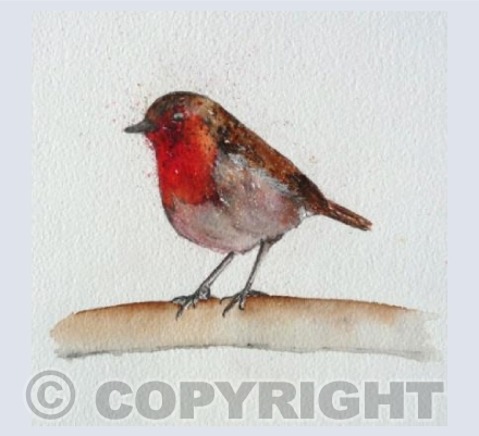 Robin