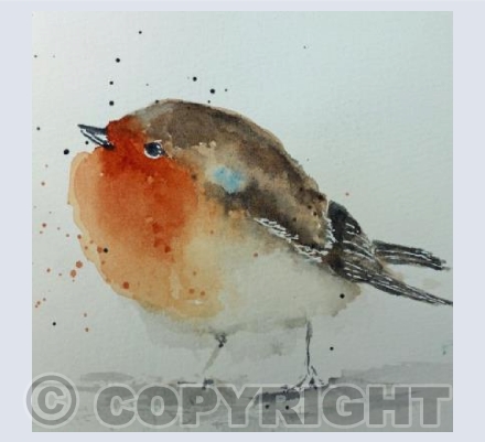 Dotty Robin