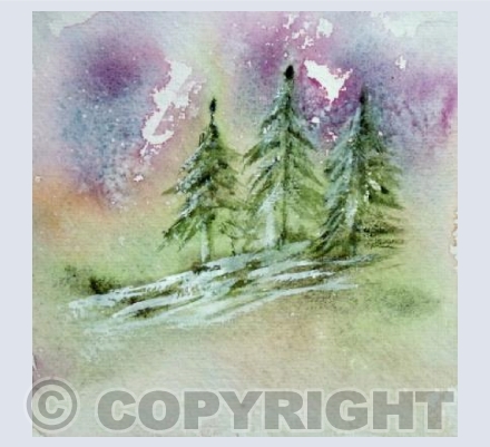 Snowy trees