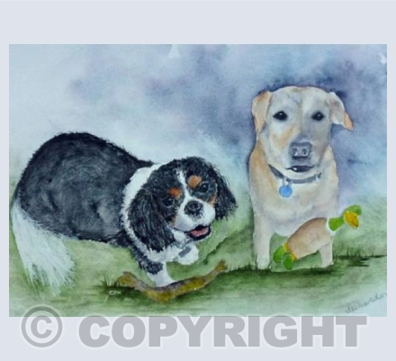 Bertie and Archie