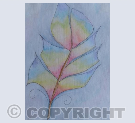 rainbow feather