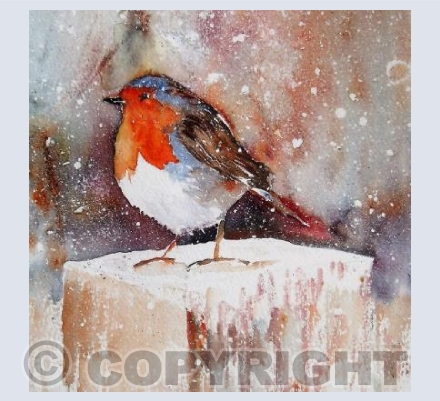 Robin