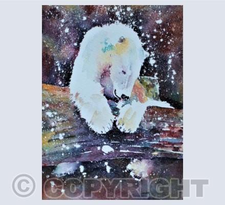 Xmas Bear