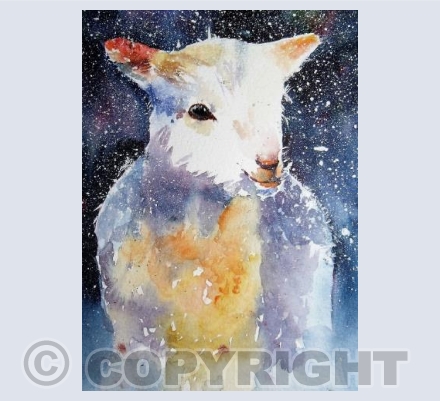 Sheep 2