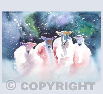 Sheep 3
