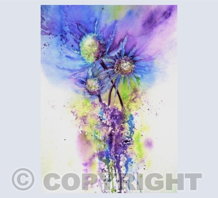 Sea Holly
