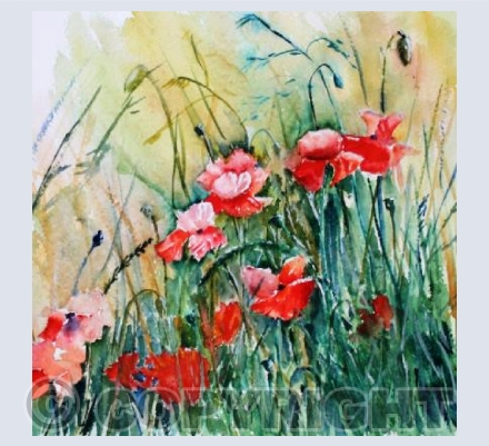 Fields of Red Green and Gold