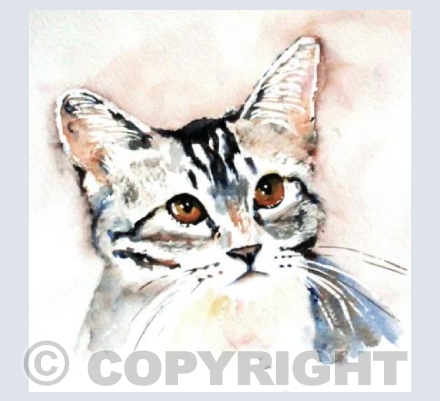 Ossie