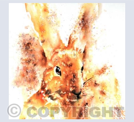 Brusho Bunny