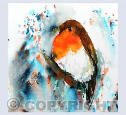 Brusho Robin