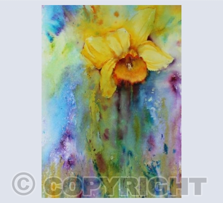 Brusho Daffodil