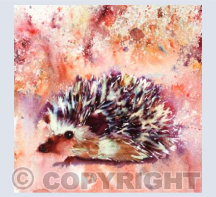 Brusho Hedgehog
