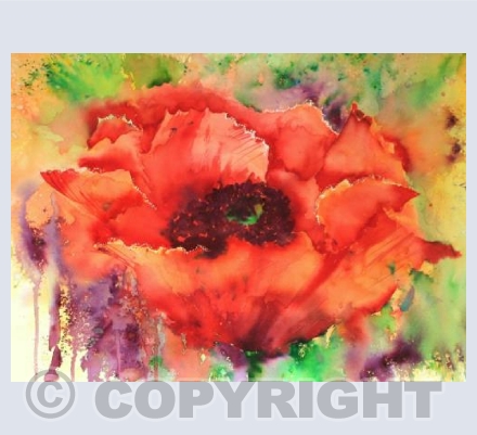 Brusho Poppy