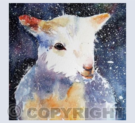 Christmas Lamb
