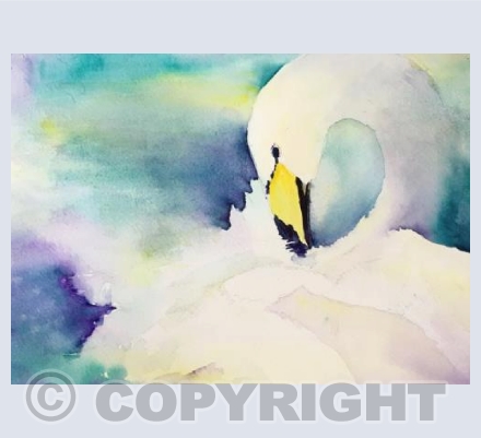Swan